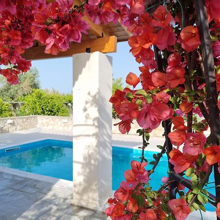 Вилла Lianas Garden House Афанту Экстерьер фото
